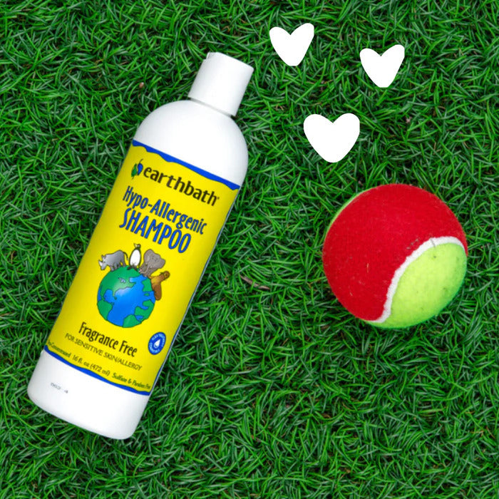 Earthbath Hypo-Allergenic Shampoo, Fragrance Free 1ea/16 oz